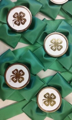 4h Pins