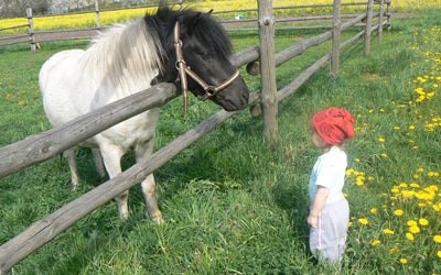 a child and a pony