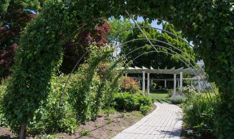 Walkway in a URI garden