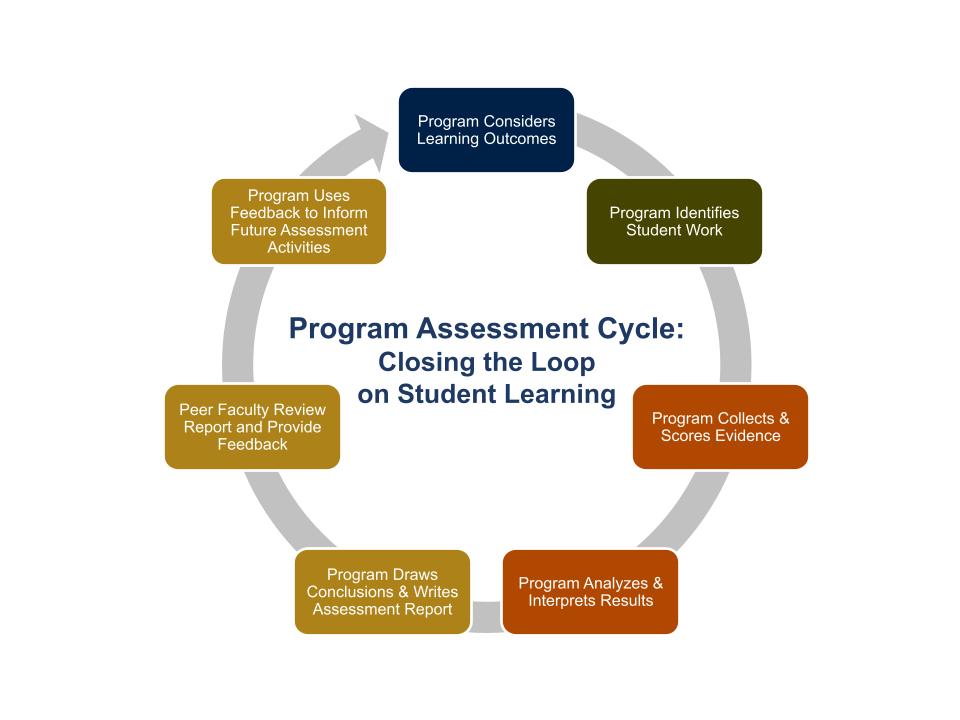 Program Assessment Cycle: Visualization of text described below