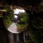 closeup of a glass ball reflecting a forest scene