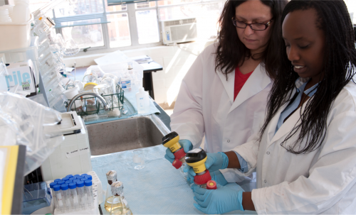 Students work with URI faculty to solve some of the world's most pressing issues in the lab.