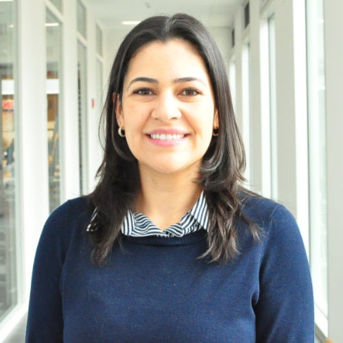 Daniela Lopes Paim Pinto, Lecturer