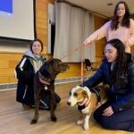 3 students interacting with two search dogs.