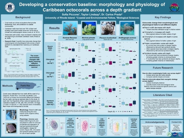 Developing a conservation baseline: morphology and physiology of Caribbean octocorals across a depth gradient University of Rhode Island Sofia Piccone1, Taylor Lindsay2, Dr. Carlos Prada2 Background University of Rhode Island: 1Coastal and Environmental Fellow, 2Biological Sciences
