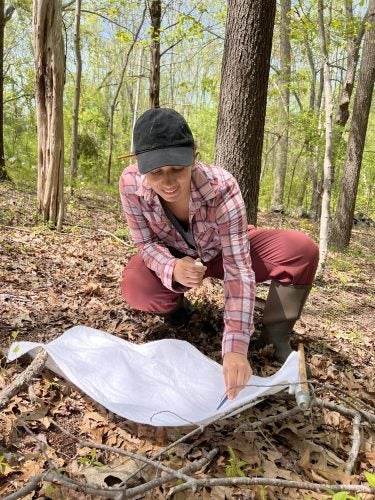 Nelle Couret gathering samples on the leafy woodland ground