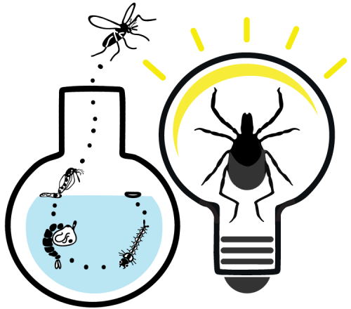 Digital art depicts the life cycle of a mosquito inside of a beaker on the left and a blacklegged tick as the filament inside of a light bulb on the right. Artist credit: Aya Rothwell and Nelle Couret