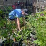 Caroline McCullough in a participant’s backyard, surrounded by various plants growing from an assortment of containers.