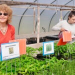 image of two people smiling over trays of plants grown in URI's incubator program