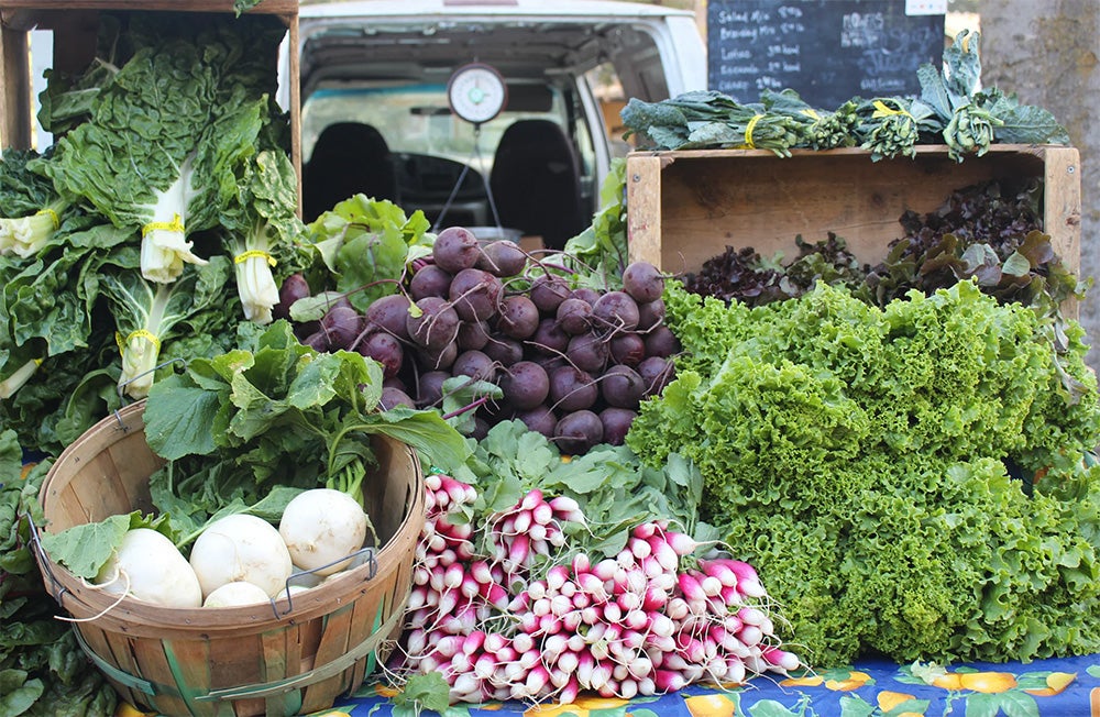 Image of leafy greens and assorted root vegetables at a farmer's market stand