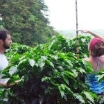 Researchers conducting field work with plants in Costa Rica