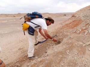 A researcher gathering rock samples in a desert environment