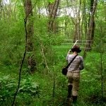 Researcher in a woodland setting conducting telemetry research