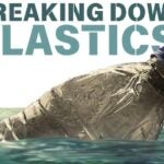 Image of a plastic water bottle floating in water with the text, "Breaking Down Plastics" above