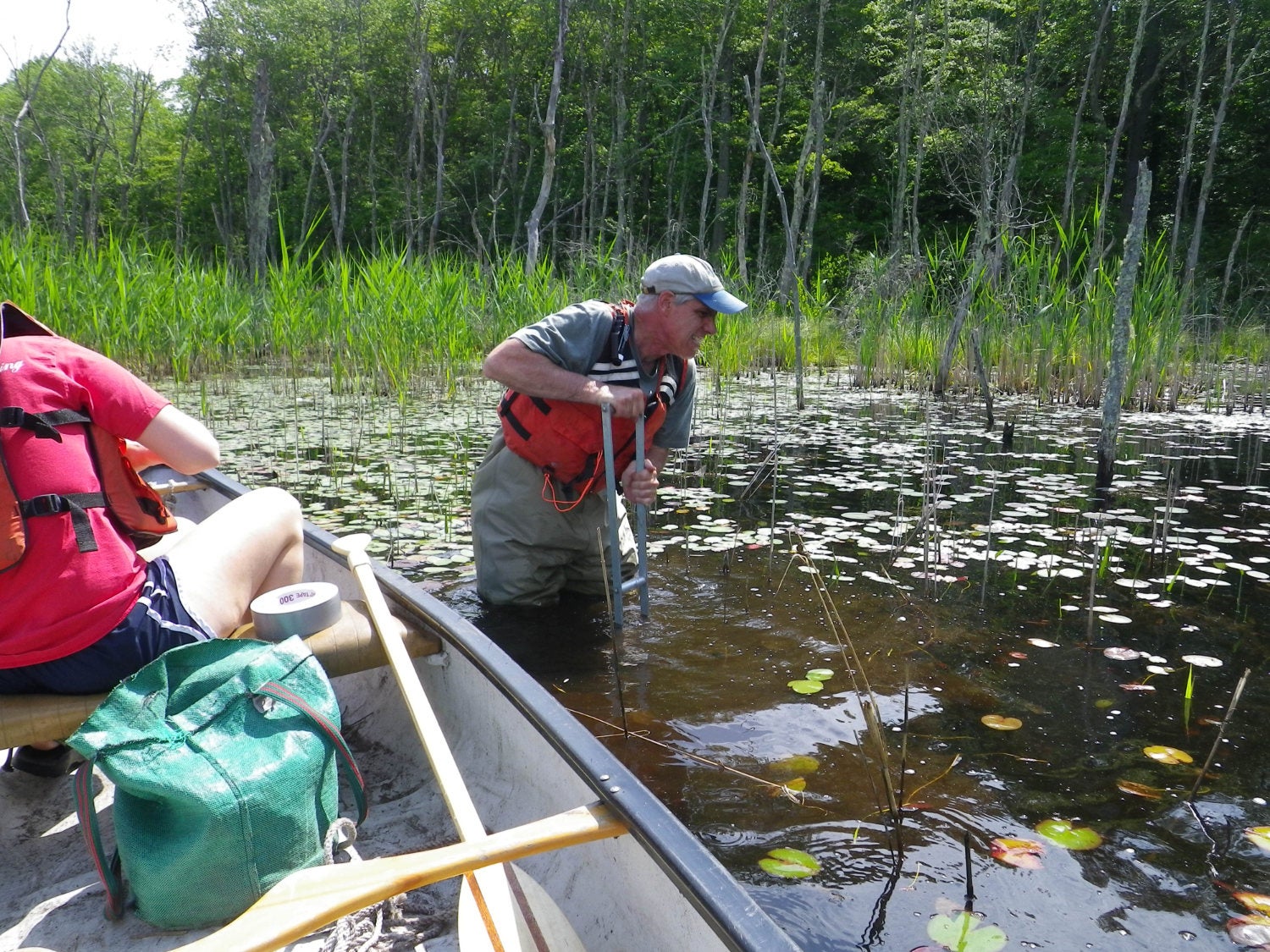 Water quality researcher in a pond next to a canoe