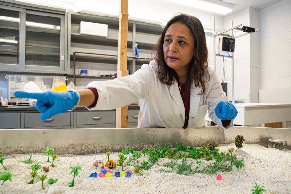 URI geosciences professor Soni Pradhanang demonstrates with her emulated river table, that offers a fun, hands-on way for K-12 students and local policymakers to learn about water issues and better visualize water’s impact on communities.