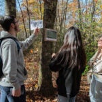 image of three URI honors students exploring the North Woods on campus