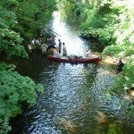 Researchers participating in a river clean up effort