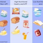 This chart details different levels of ultra-processed foods according to their nutritional values.