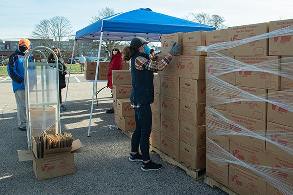 Combatting food insecurity: URI students and staff distribute USDA Farmers to Families food boxes this fall. (URI photo/Nora Lewis)