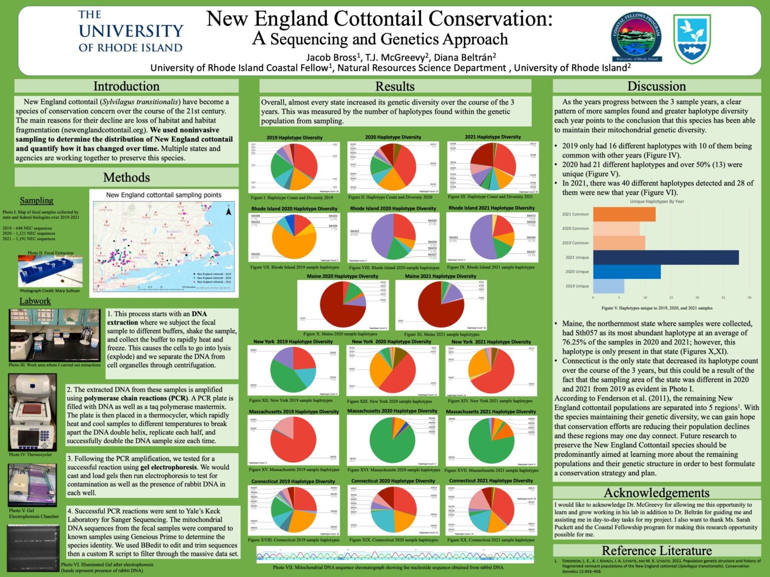 New England Cottontail Conservation:A Sequencing and Genetics Approach