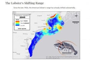 Lobster populations on the East Coast.