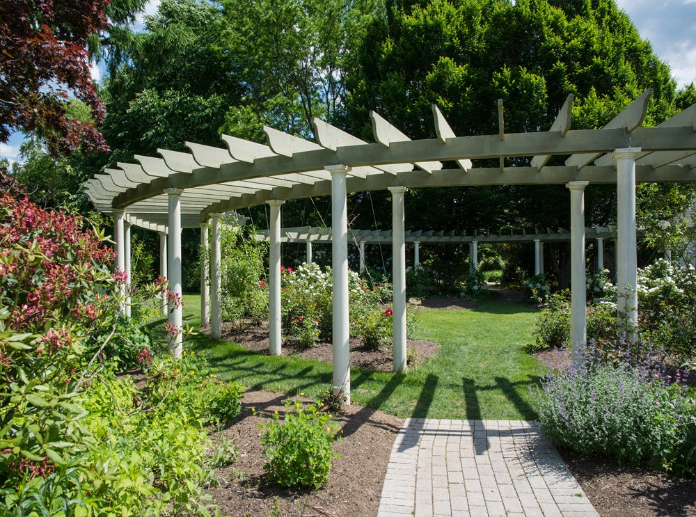 Botanical-Gardens