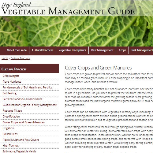 new england vegetable management guide on cover crops and green manures