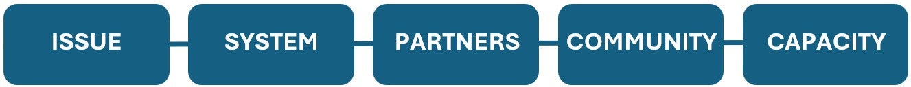 Issue, System, Partners, Community, Capacity