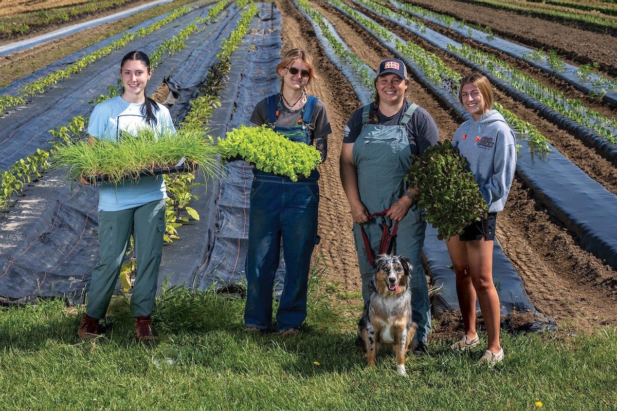 Summer farm crew members at the Greene H. Gardner Crops Research Center on URI’s Kingston Campus. From left, Grace Connolly ’26, wildlife and conservation biology major; Aislin Aylward ’26, environmental science and management major and a Cooperative Extension agriculture and food systems fellow; Tricia Lourenco Boucher ’23, program facilitator for URI’s Boots to Bushels program, with her dog, Rosie; and Grace Chasanoff ’25, animal science major.