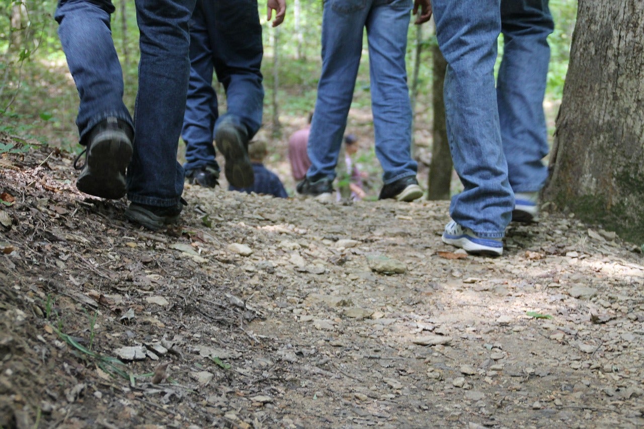 class walking in woods