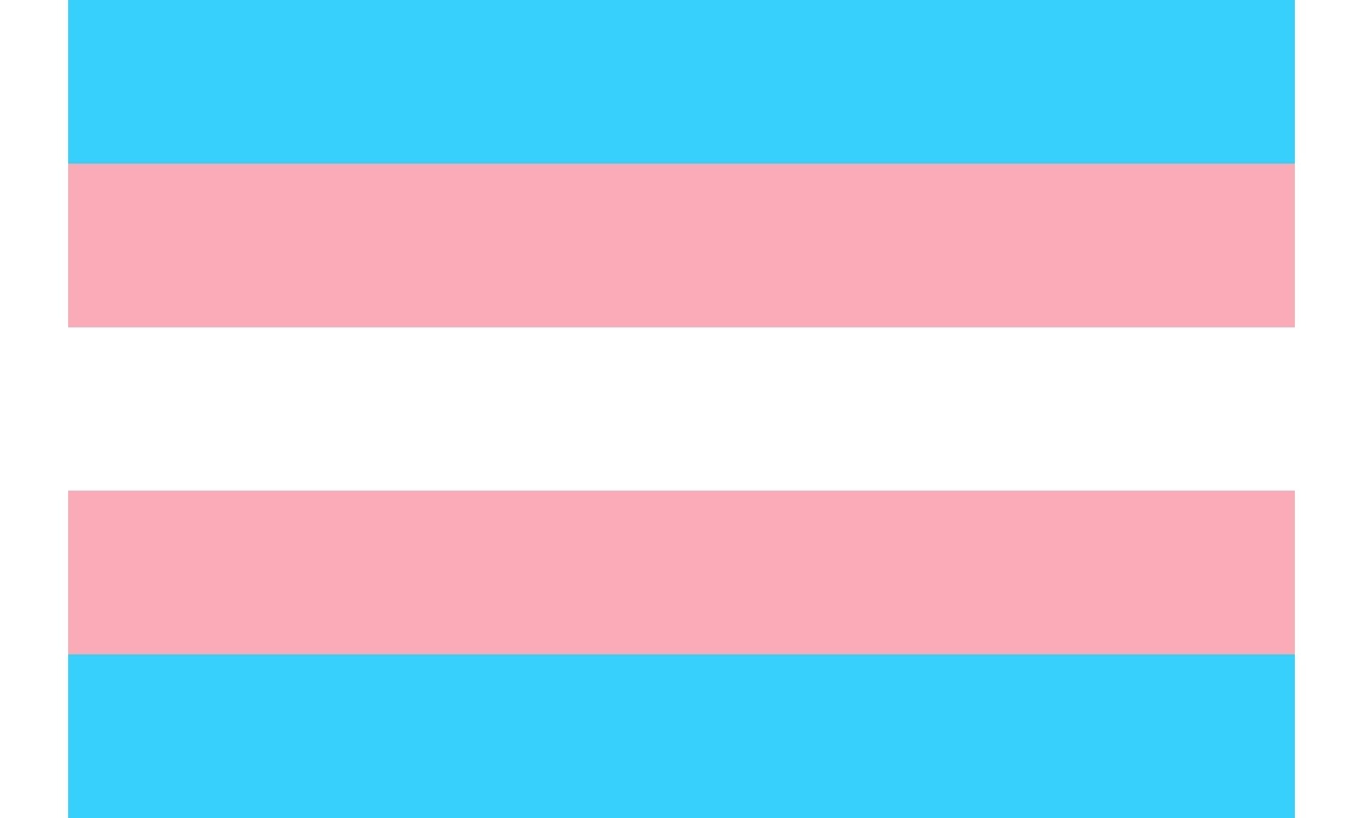 blue pink white trans flag