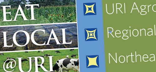 eat local three tier icon system