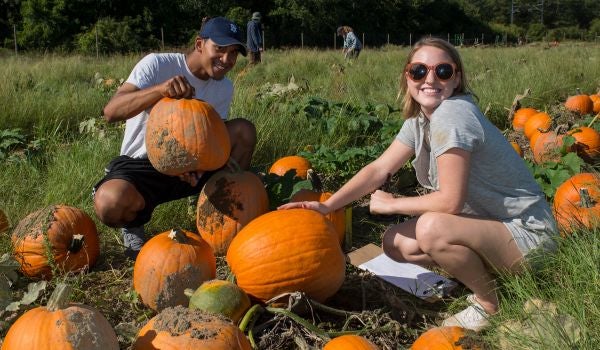 two students at a pumpkin patch