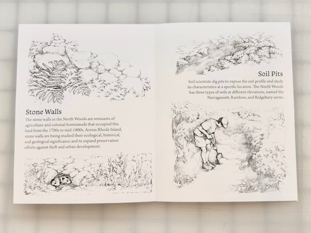 Pages from NWFG on Stone Walls and Soil Pits, with drawings by Lin.