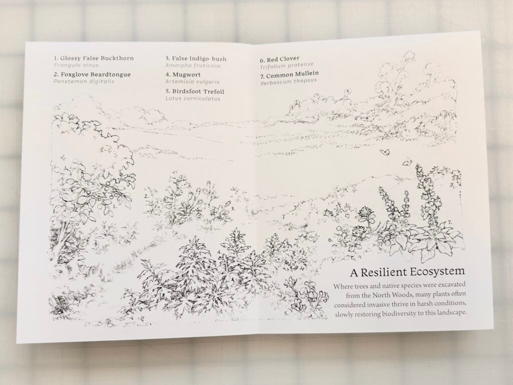 Another entry from the NWFG on ecosystem resilience, featuring drawings by Lin.