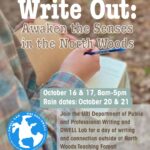 write out graphic