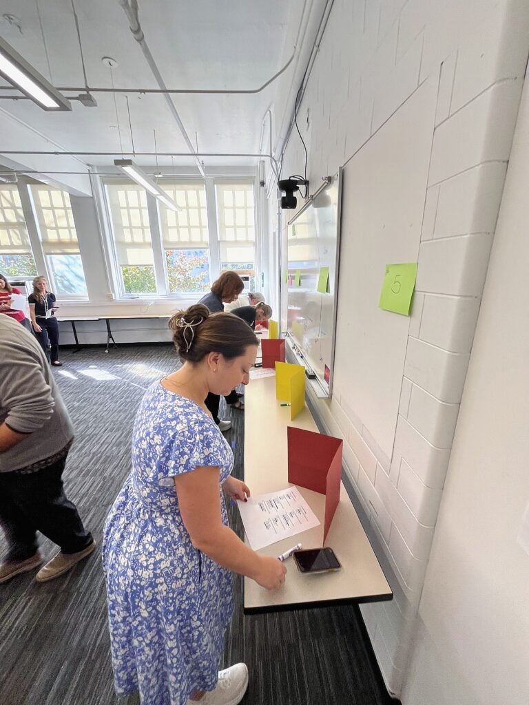 Woman in a floral dress marks a ballot at a mock voting station with folding privacy screens