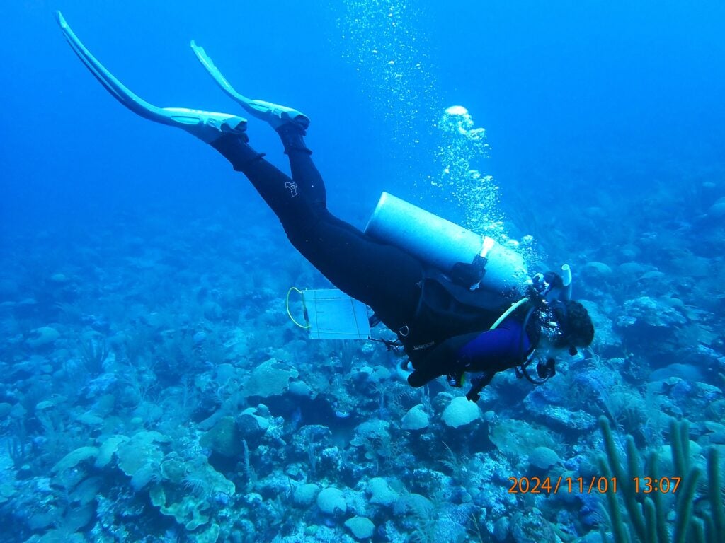 Underwater image of Kaitlyn in dive suit