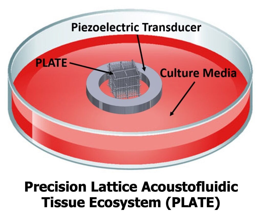 diagram of the PLATE system