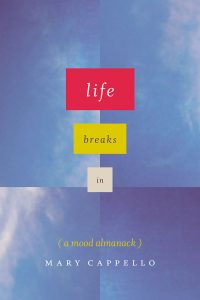 Life Breaks In book cover