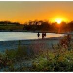 Picture of sunset