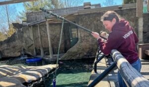 Kylie Mastropolo plays with a harbor seal named Luna at Roger Williams Park Zoo