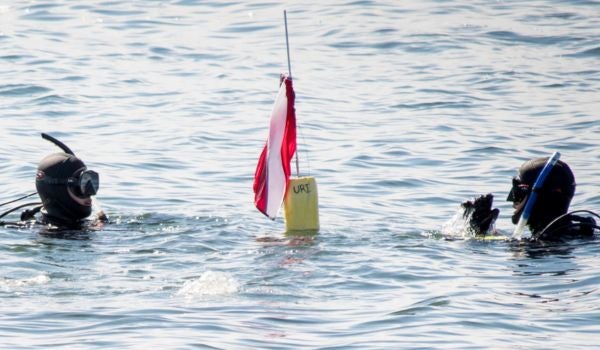 two swimmers in scuba gear conducting research in the water