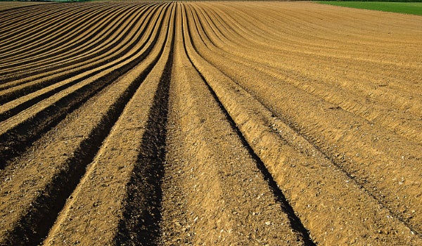rolling agricultural field