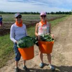 URI’s Food Recovery Course lets participants get hands-on experiences with Rhode Island food systems; applications are open now. (URI Photo / Vanessa Venturini)