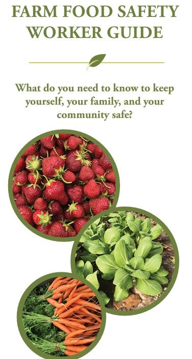 ENGLISH VERSION: This farm produce safety employee training brochure can be used to help provide general produce safety training to farm employees. It is designed to clearly and simply communicate key training topics. Use of these materials should be supplemented with additional training covering other policies/procedures that are specific to each farm and each employee's work area. (Source: CISA)