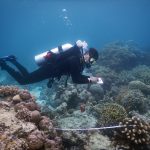 Fulbright recipient, Paul Carvalho studying coral reef fisheries