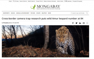 Amur Leopard - mongabay