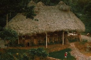 A thatched roof structure in the Dominican Republic